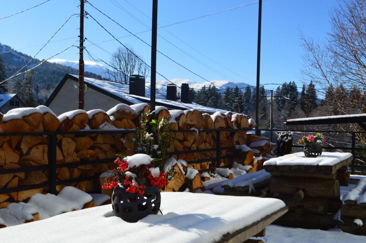 Boutique Hotel Shale Bakuriani Bagian luar foto