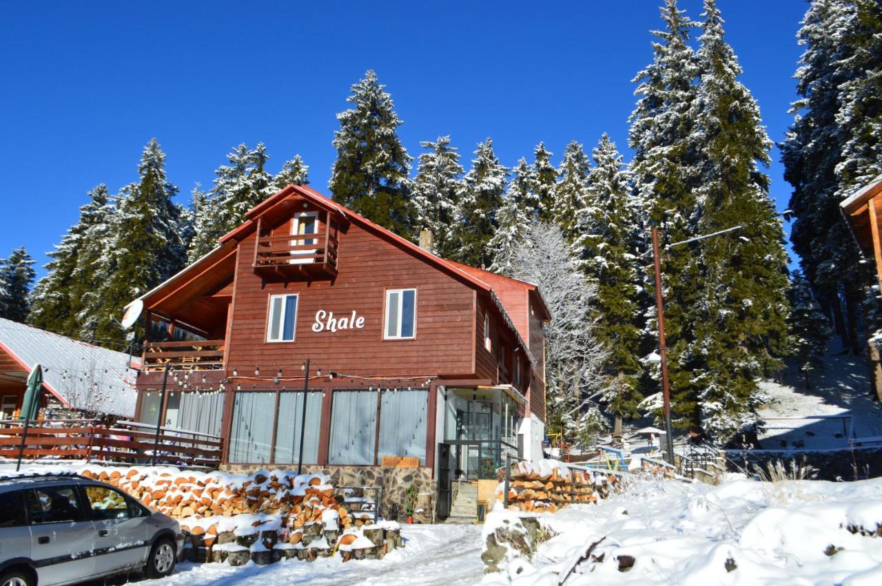 Boutique Hotel Shale Bakuriani Bagian luar foto